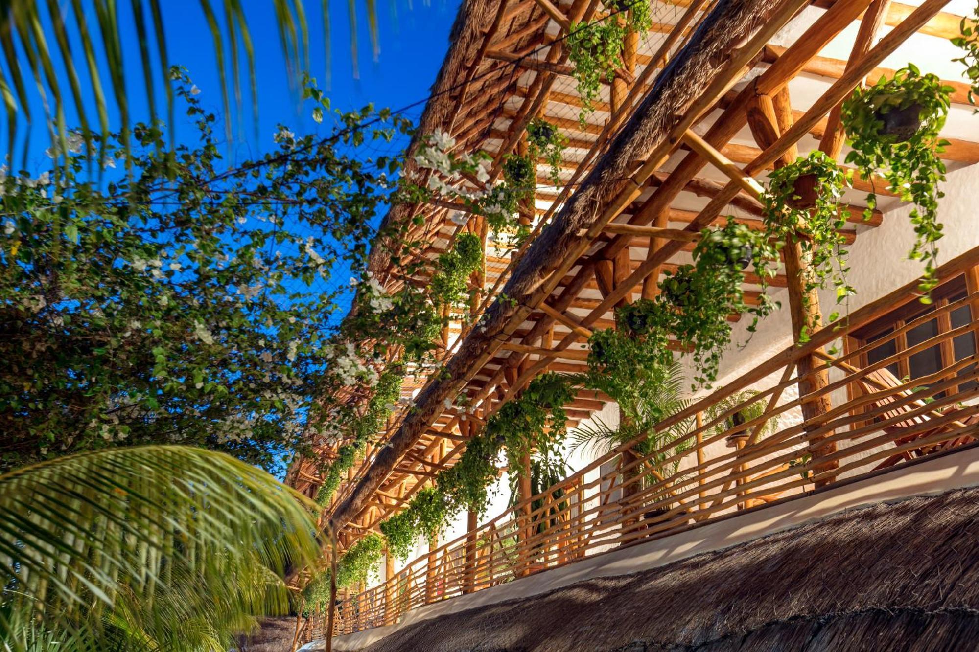 La Palma Holbox Otel Dış mekan fotoğraf